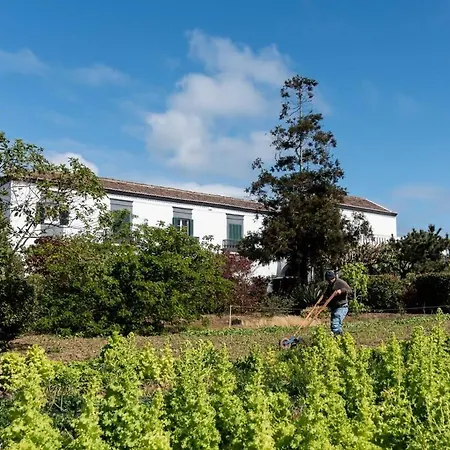Quinta Do Solar Perfect For Families Ponta Delgada