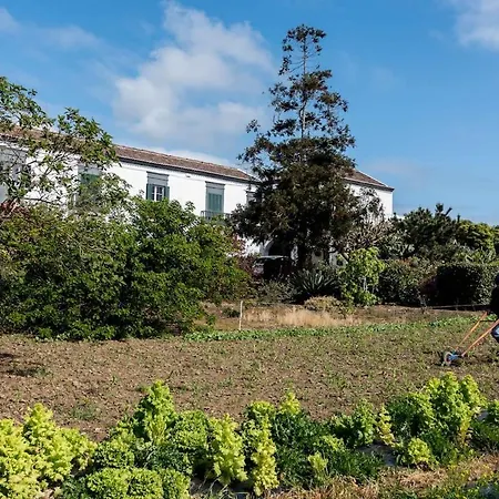 Quinta Do Solar Perfect For Families *